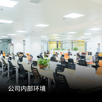 公司内部环境